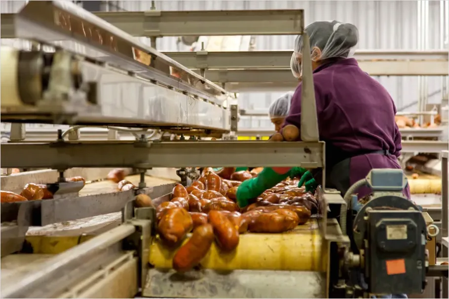 Detail Distribution Center Conveyor Sorting Number 3