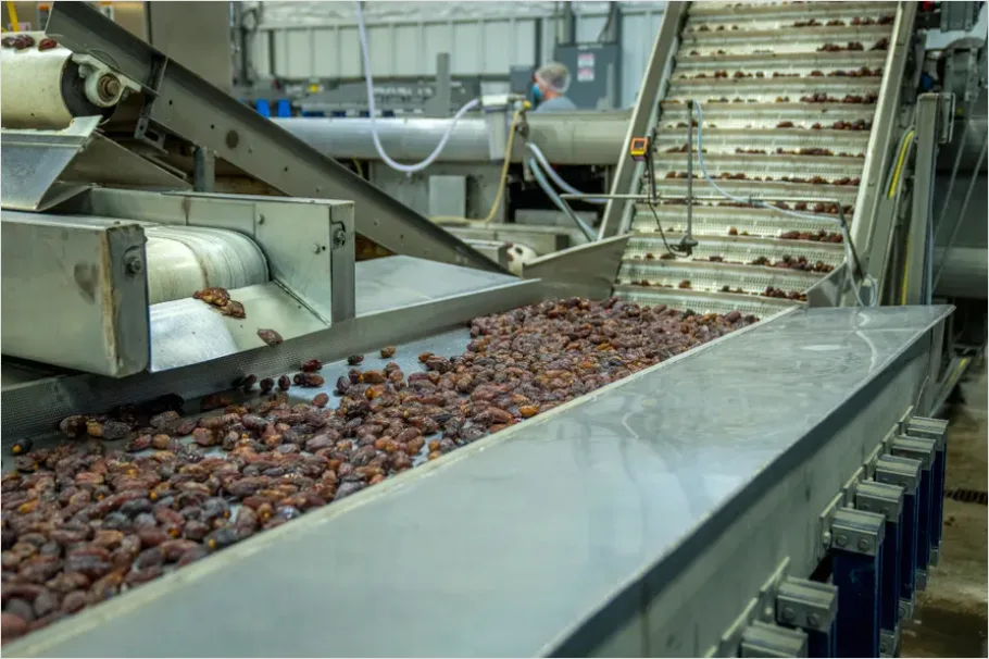 Detail Distribution Center Conveyor Sorting Number 6