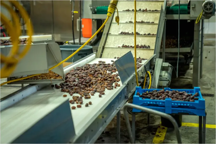 Detail Distribution Center Conveyor Sorting Number 8