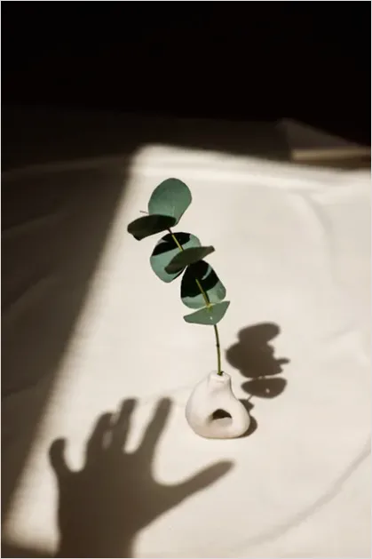 Detail Eucalyptus Still Life Minimal Number 2