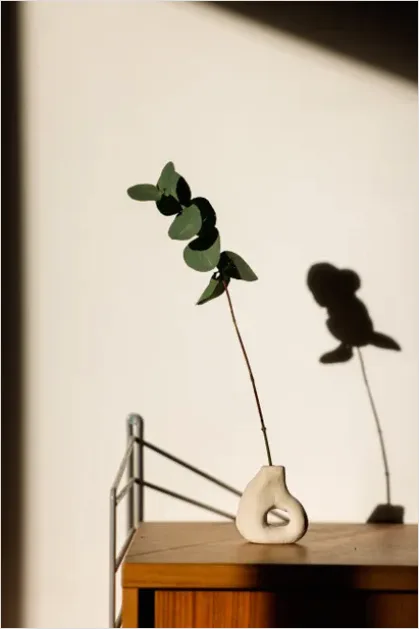 Detail Eucalyptus Still Life Minimal Number 7