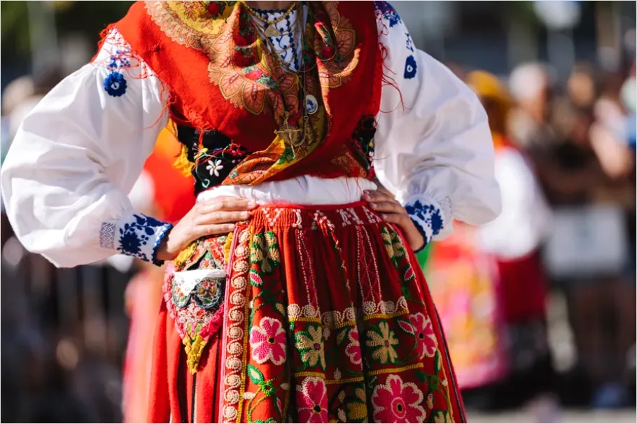 Folk Costume Embroidery Detail Macro 14f1
