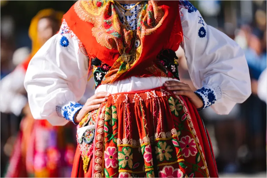 Detail Folk Costume Embroidery Detail Macro Number 2