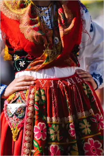 Detail Folk Costume Embroidery Detail Macro Number 3