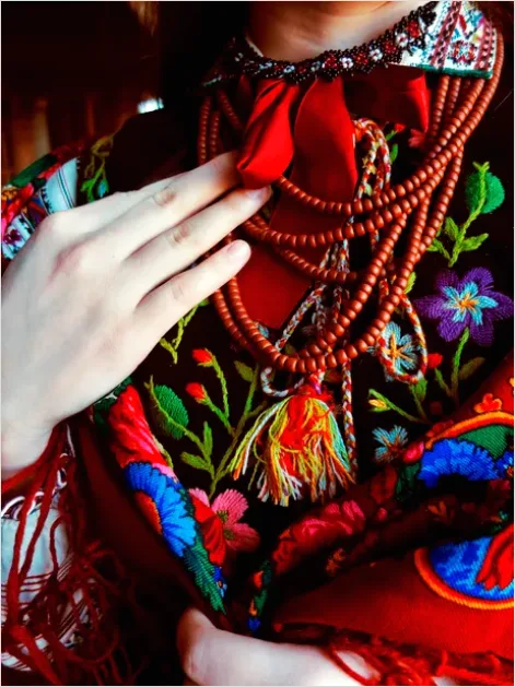 Detail Folk Costume Embroidery Detail Macro Number 6