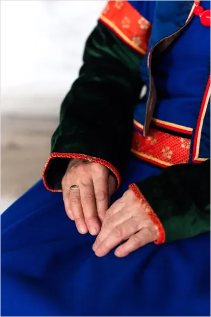 Detail Folk Costume Embroidery Detail Macro Number 10