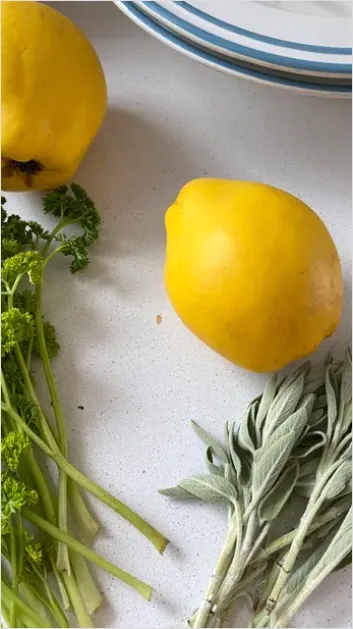 Detail Fresh Herbs Still Life Kitchen Counter Number 7