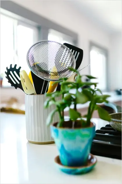 Detail Fresh Herbs Still Life Kitchen Counter Number 8