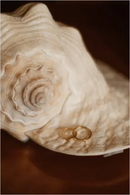 Detail Gold Ring Still Life Close Up Number 9