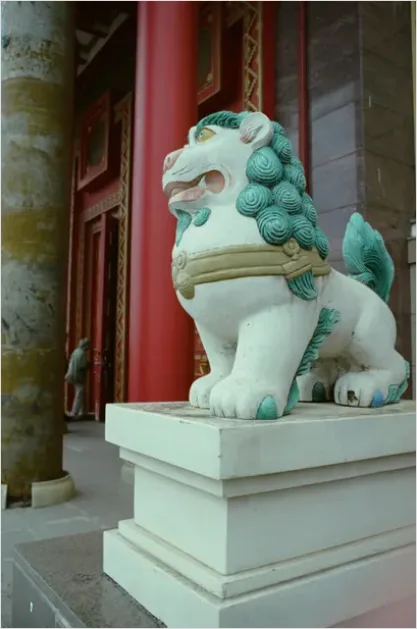Detail Guardian Lion Statue Temple Entrance Photo Number 8