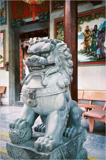 Detail Guardian Lion Statue Temple Entrance Photo Number 9