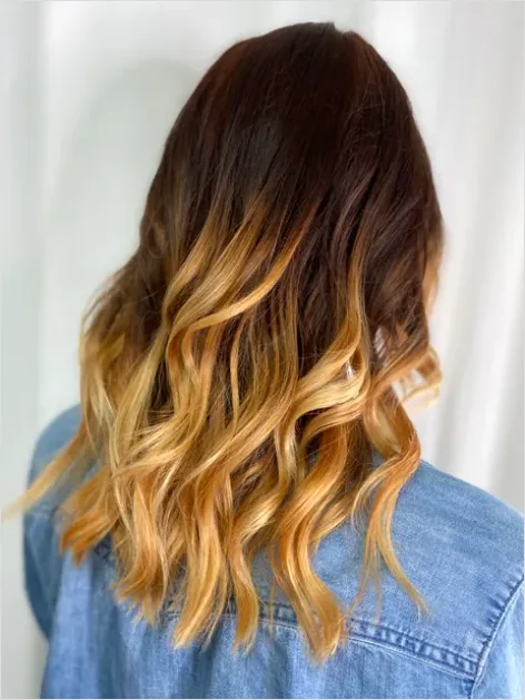 Detail Hair Color Balayage Photo Number 11