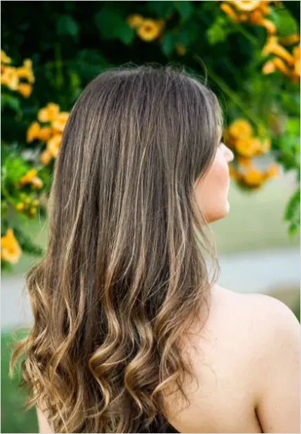 Detail Hair Color Balayage Photo Number 4
