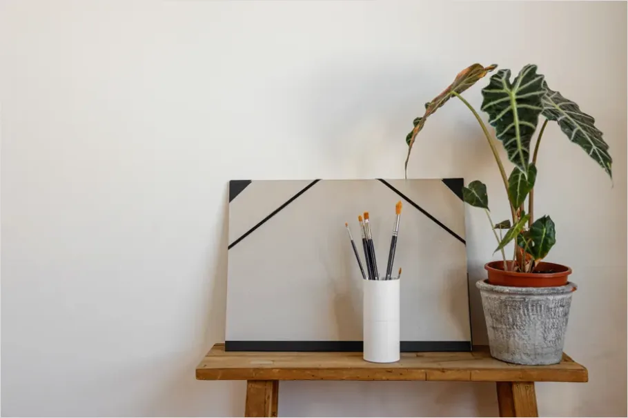 Detail Indoor Plant Still Life Corner Number 10
