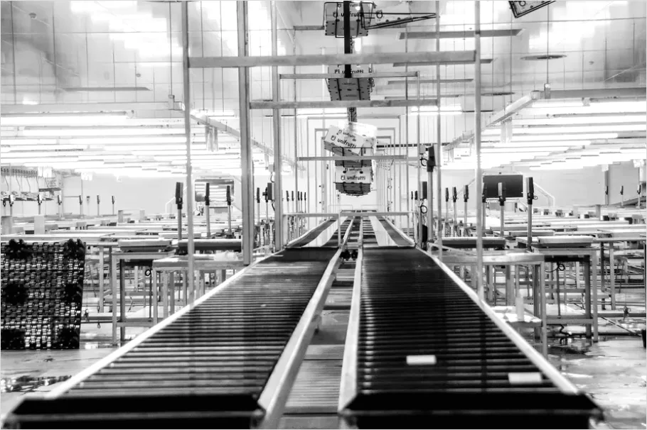 Detail Industrial Production Line Conveyor Belt Number 9