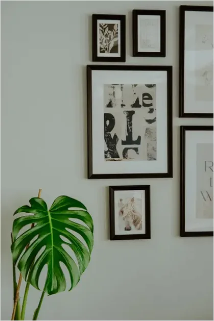 Living Room Gallery Wall Frames C834