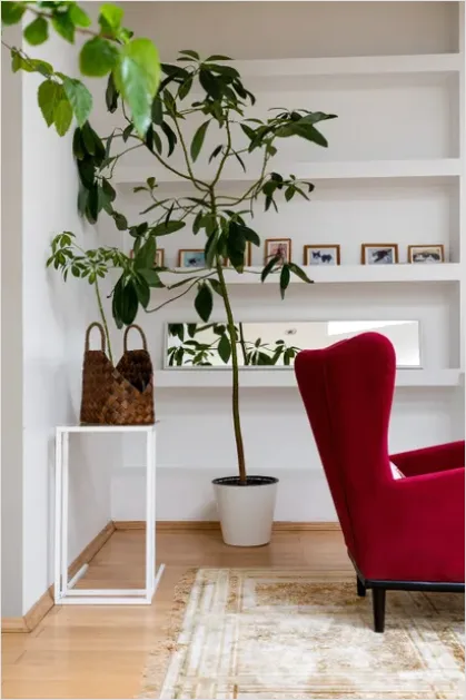 Detail Living Room Rug Styling Inspiration Number 7