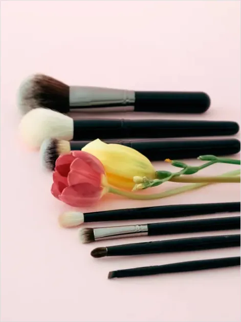 Makeup Brushes Still Life Overhead 051a