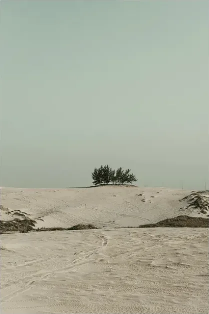 Detail Minimal Desert Landscape Photo Number 2