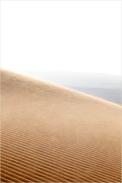 Detail Minimal Desert Landscape Photo Number 11