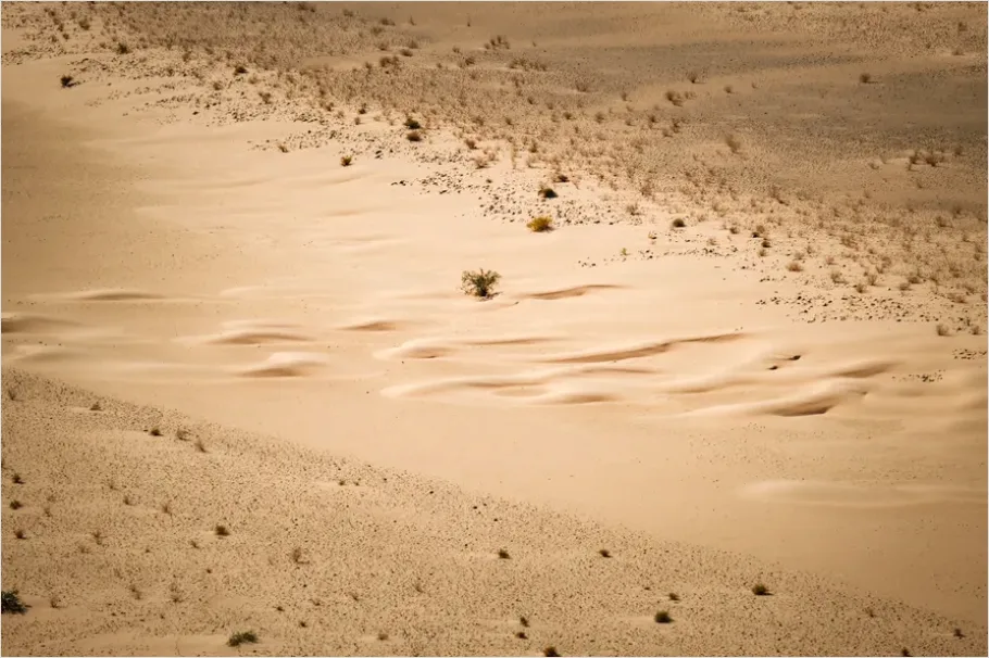 Detail Minimal Desert Landscape Photo Number 12