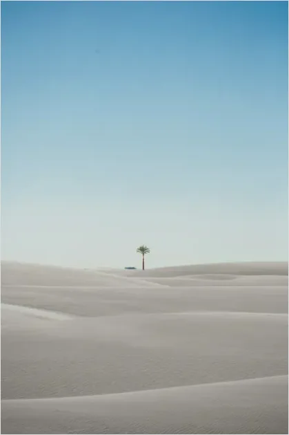 Detail Minimal Desert Landscape Photo Number 13