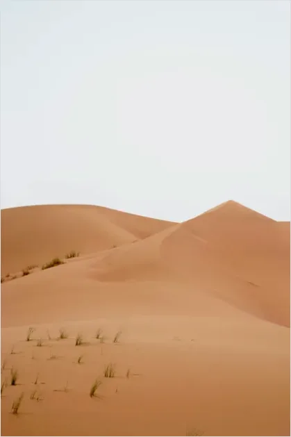 Detail Minimal Desert Landscape Photo Number 14
