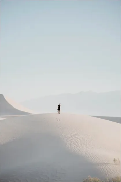 Detail Minimal Desert Landscape Photo Number 16