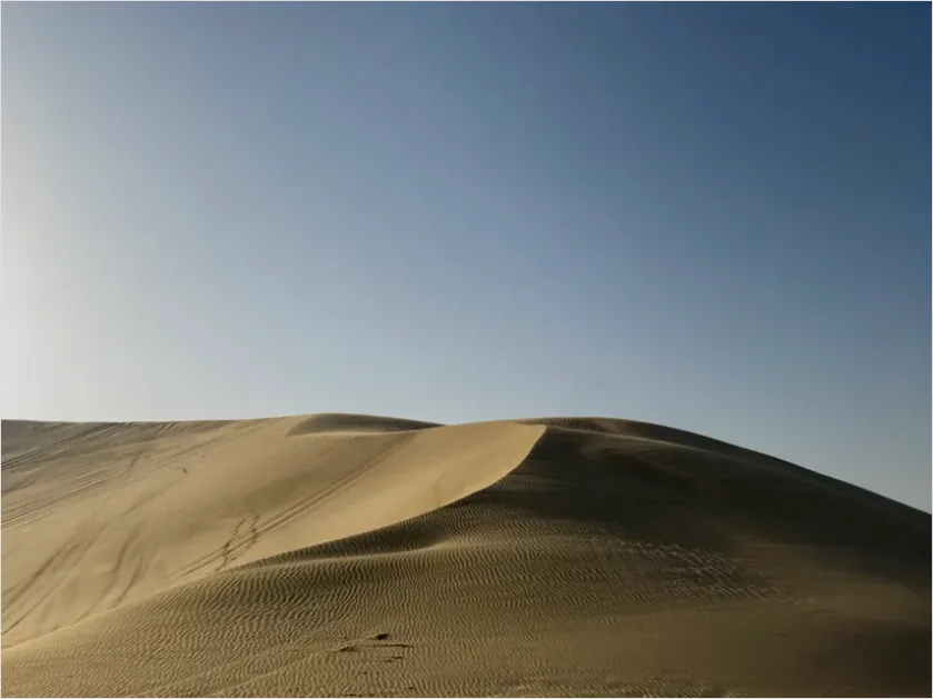 Detail Minimal Desert Landscape Photo Number 7
