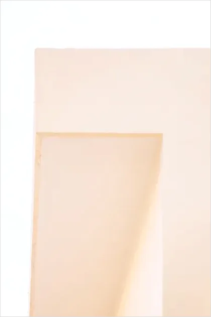 Detail Minimal Negative Space Photography Portrait Number 12