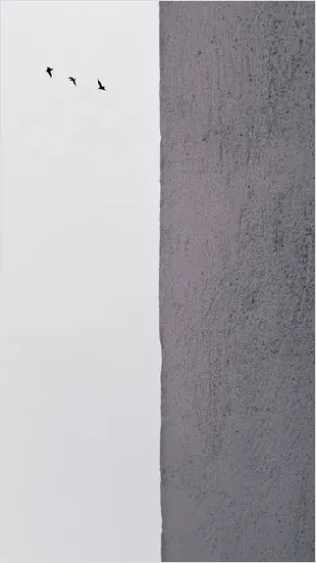 Detail Minimal Negative Space Photography Portrait Number 6