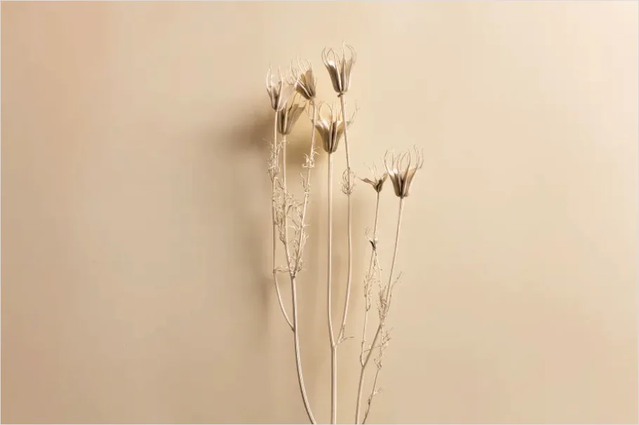 Detail Minimal Still Life Neutral Background Number 10