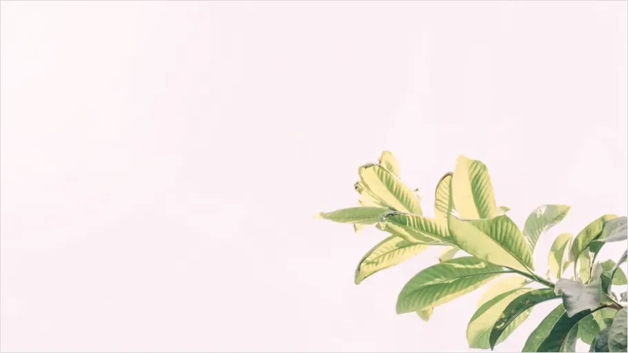 Detail Minimalist Aesthetic Background Images Number 2