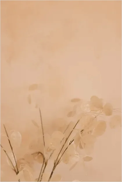 Detail Minimalist Aesthetic Background Images Number 11