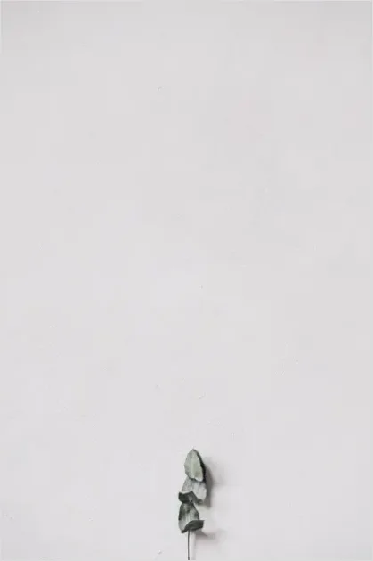 Detail Minimalist Aesthetic Background Images Number 16