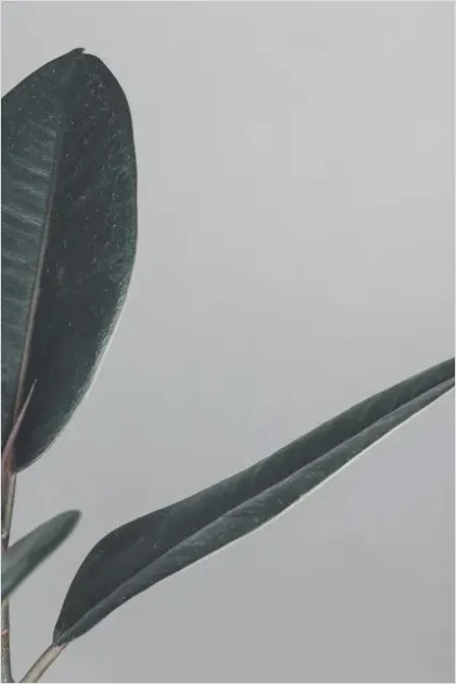 Detail Minimalist Aesthetic Background Images Number 4
