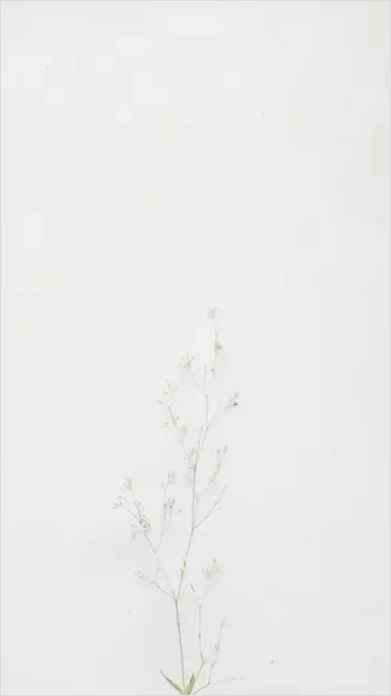 Detail Minimalist Aesthetic Background Images Number 10