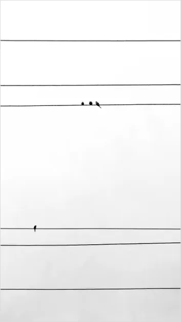 Detail Minimalist Aesthetic Wallpaper For Android Number 12