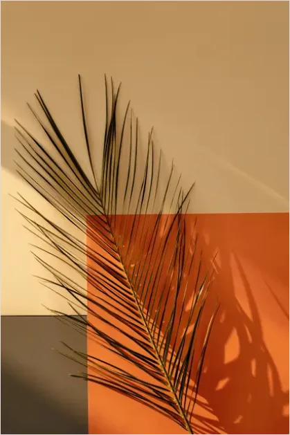 Detail Minimalist Aesthetic Wallpaper For Android Number 4