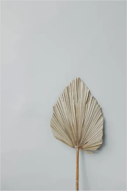 Detail Minimalist Aesthetic Wallpaper For Android Number 5