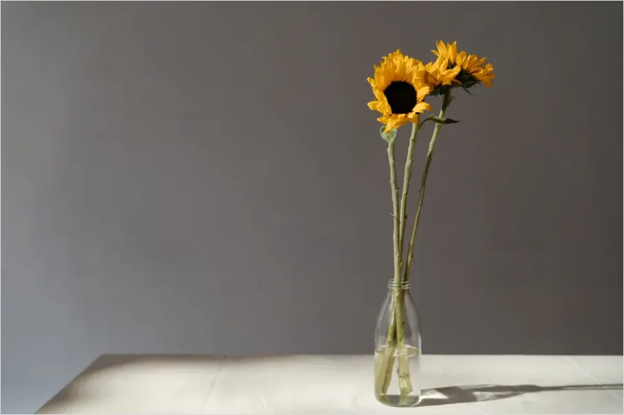 Minimalist Flowers In Vase Photo F199