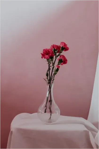 Detail Minimalist Flowers In Vase Photo Number 2
