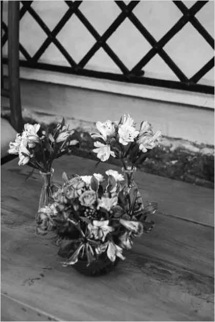 Detail Minimalist Flowers In Vase Photo Number 11