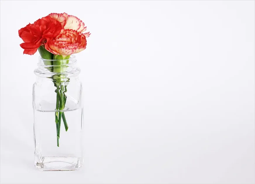 Detail Minimalist Flowers In Vase Photo Number 12