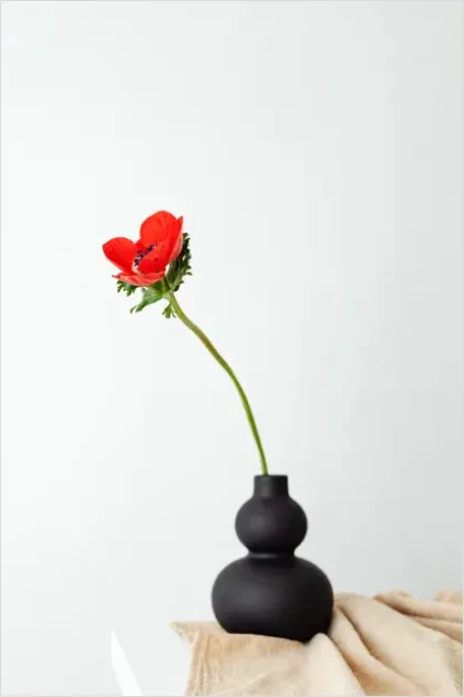 Detail Minimalist Flowers In Vase Photo Number 13