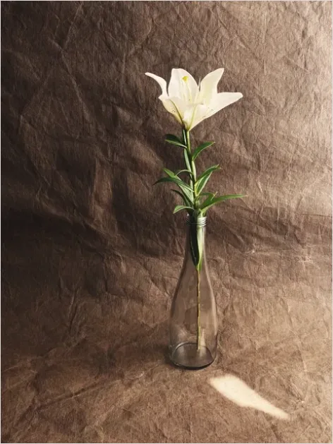Detail Minimalist Flowers In Vase Photo Number 14