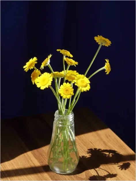 Detail Minimalist Flowers In Vase Photo Number 15