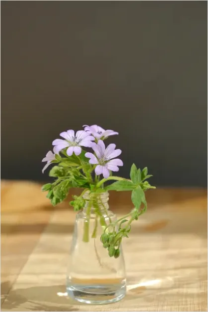 Detail Minimalist Flowers In Vase Photo Number 16