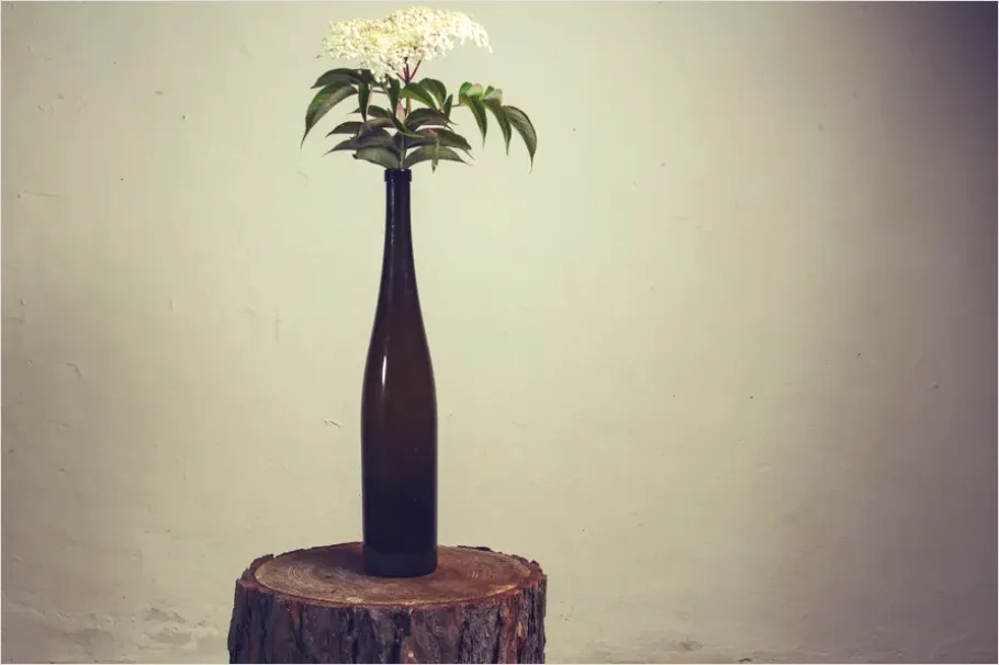 Detail Minimalist Flowers In Vase Photo Number 3