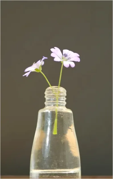 Detail Minimalist Flowers In Vase Photo Number 4